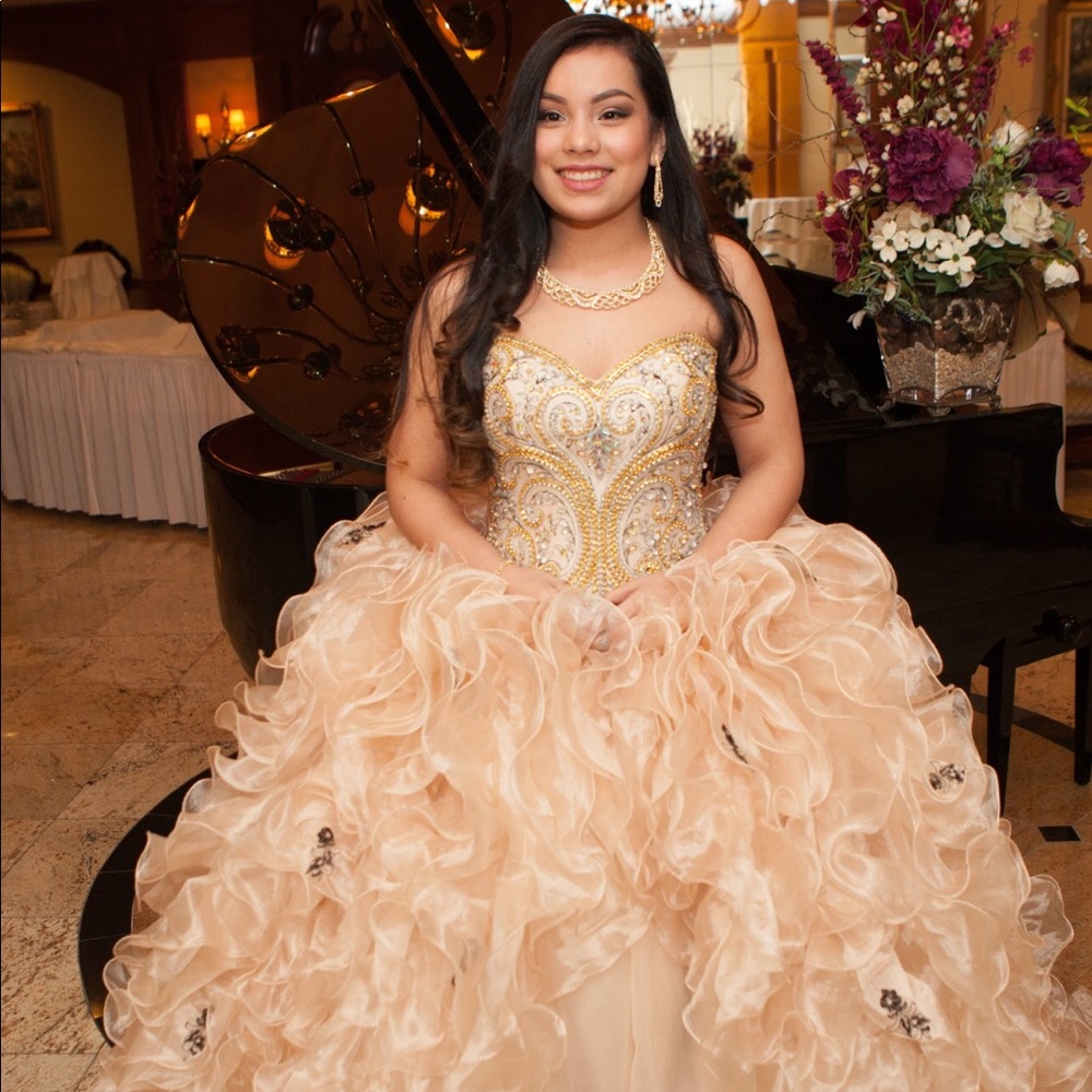Gorgeous Sweet Sixteen gown in perfect condition.